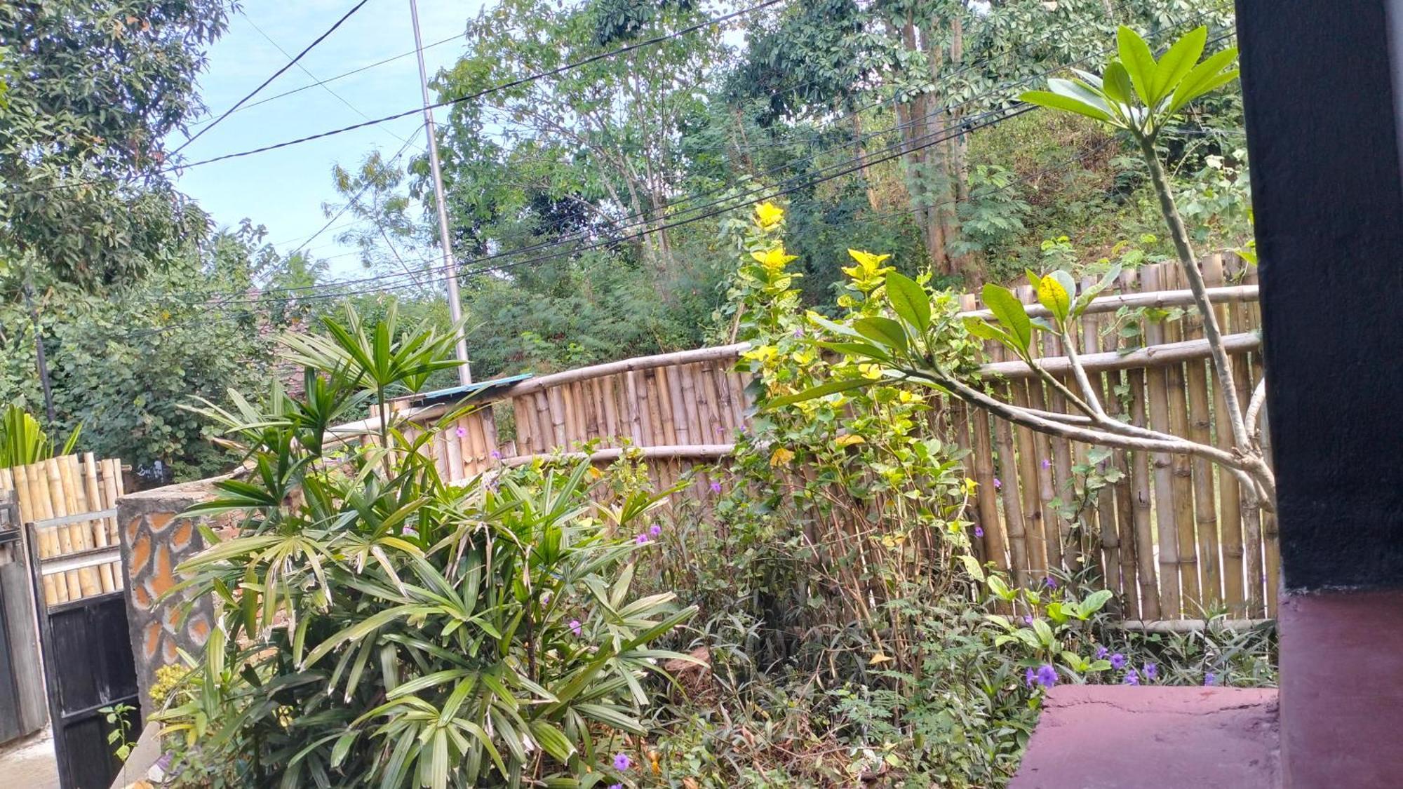 Palm Homestay Kuta Kuta  외부 사진