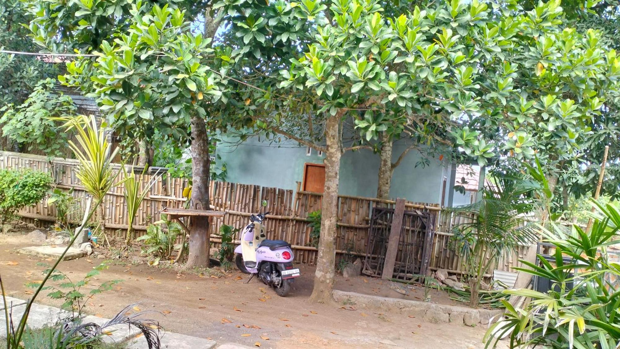 Palm Homestay Kuta Kuta  외부 사진