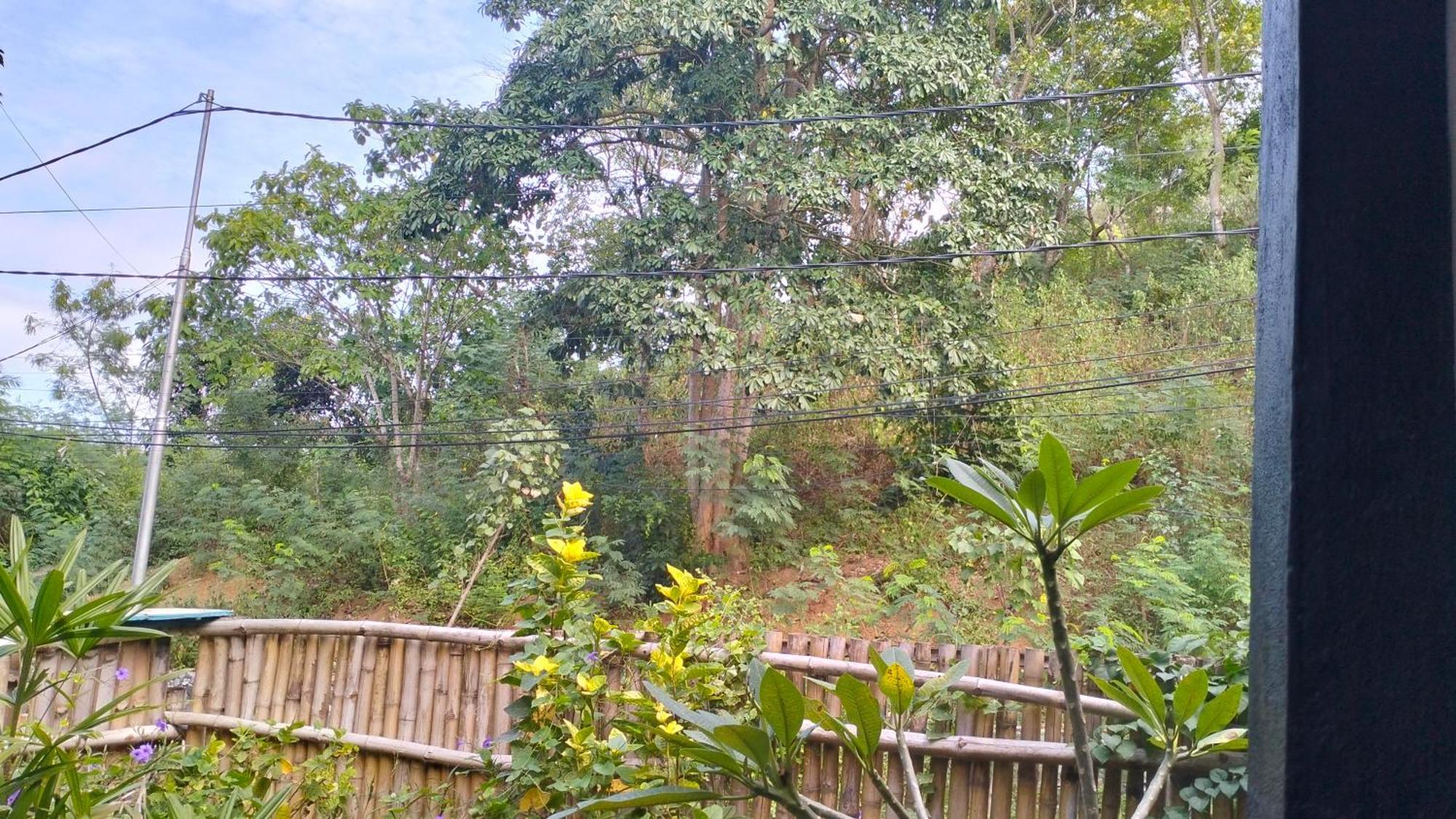 Palm Homestay Kuta Kuta  외부 사진