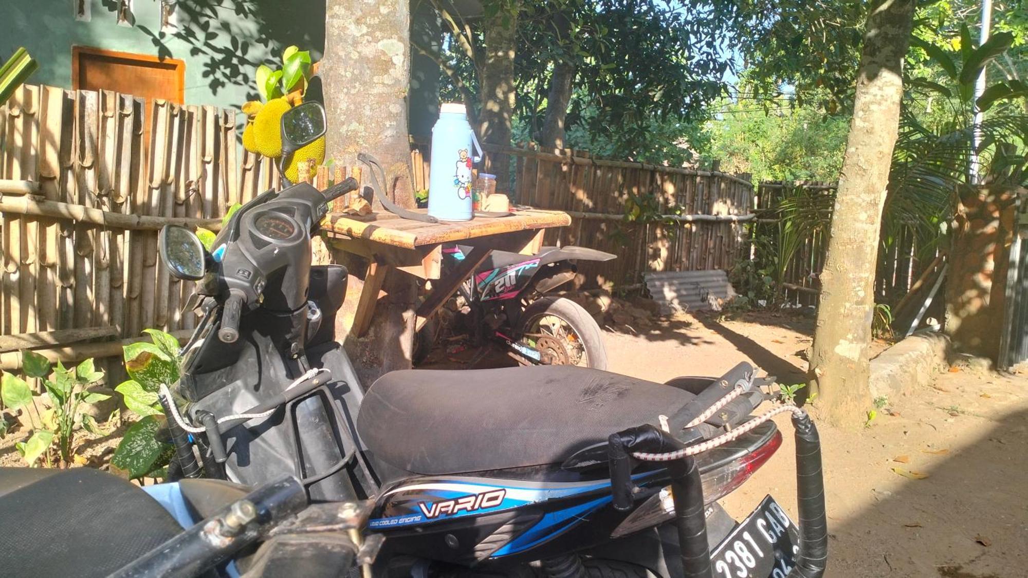 Palm Homestay Kuta Kuta  외부 사진